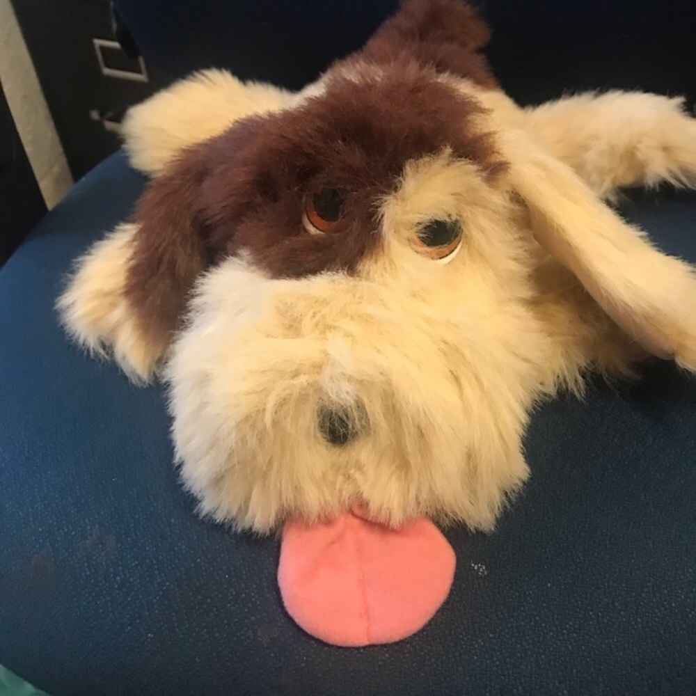 Smoochie Pooch